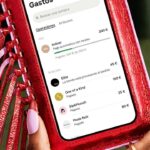 activando-klarna-en-tu-tienda-online-paso-a-paso