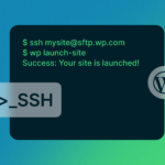 Activando SSH en tu espacio web activando-ssh-en-tu-espacio-web