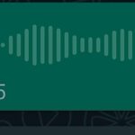 Guía para encontrar los audios de WhatsApp guia-para-encontrar-los-audios-de-whatsapp
